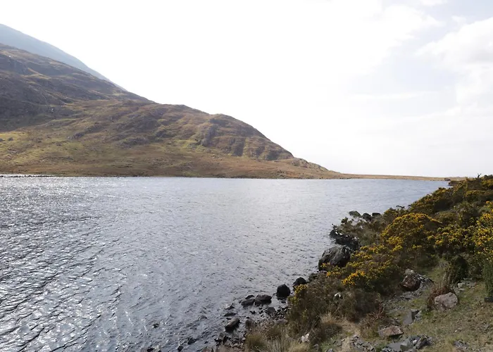 Prázdninový dům Old Mike's *